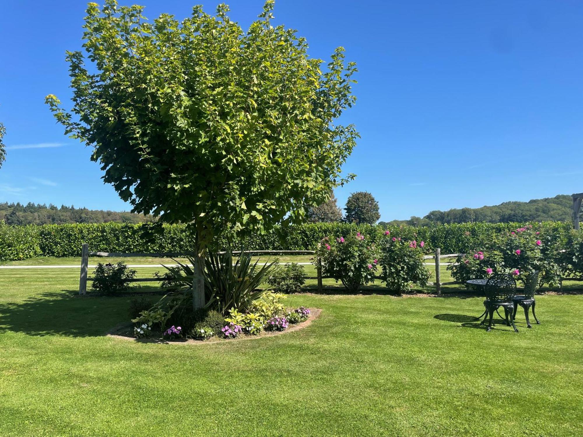 Old Selden Farm B&B Clapham  Bagian luar foto
