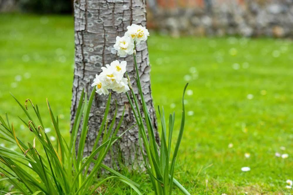 Old Selden Farm B&B Clapham  Bagian luar foto