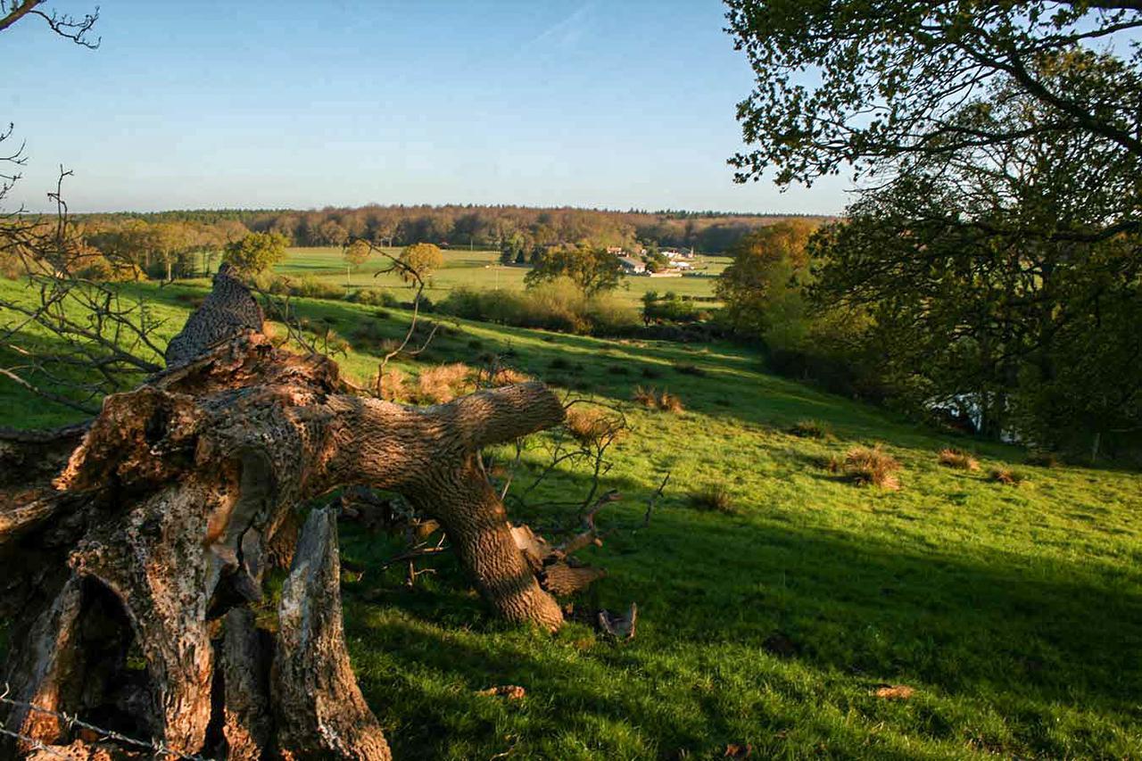 Old Selden Farm B&B Clapham  Bagian luar foto