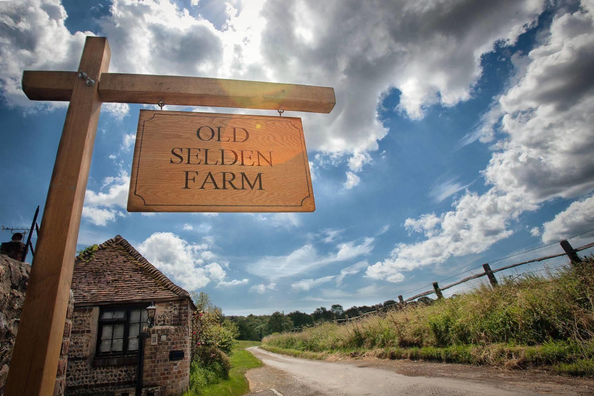 Old Selden Farm B&B Clapham  Bagian luar foto