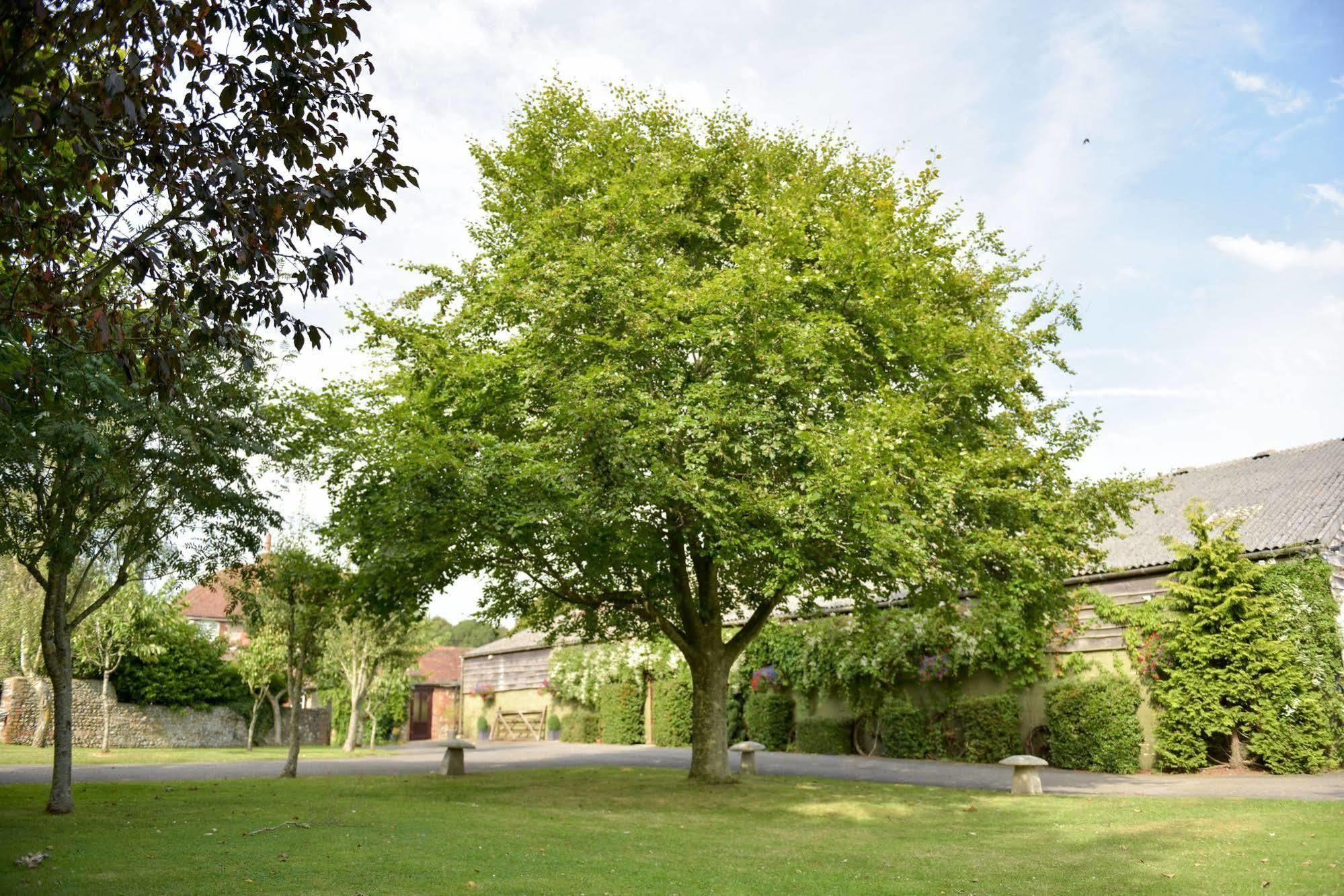 Old Selden Farm B&B Clapham  Bagian luar foto