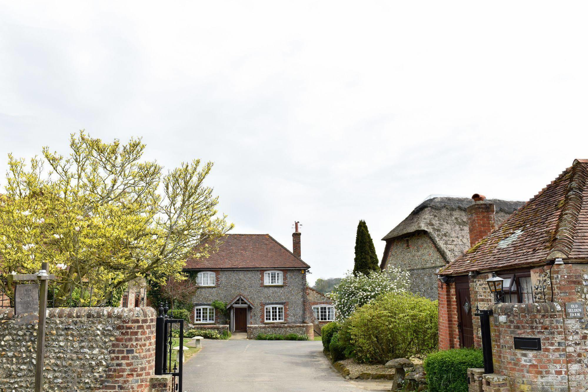 Old Selden Farm B&B Clapham  Bagian luar foto